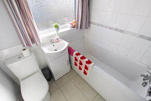 Photo 10- click for photo gallery